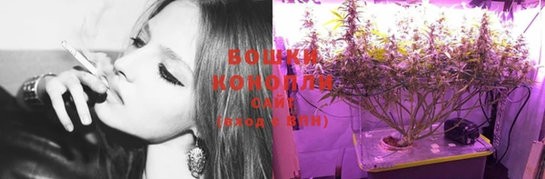 гашик Костерёво