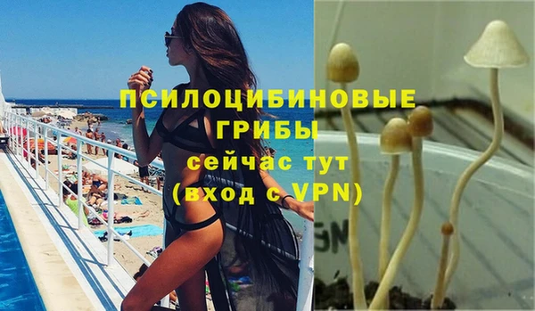экстази Абаза