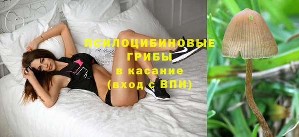 таблы Алексин