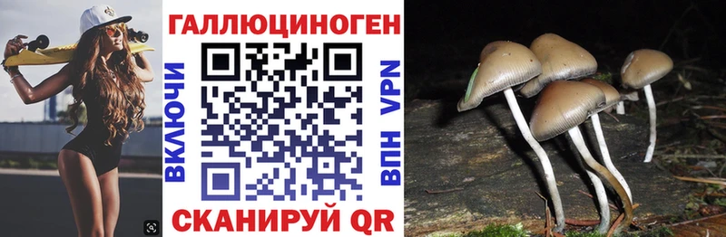 Галлюциногенные грибы ЛСД мега зеркало Кострома
